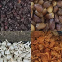 قیسی محلی تازه