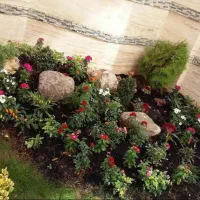 خدمات باغبانی باغچه کاری گل کاری تعویض خاک گلدون