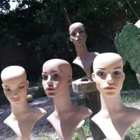 مانکن های کله و بدن ایتالیایی|آرایشی، بهداشتی، درمانی|اردبیل, |دیوار