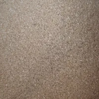 برنج فجر امسالی و نیم دانه