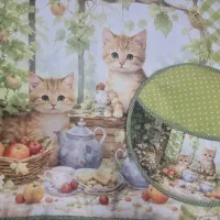 آشپزخانه نو