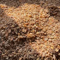 ثعلب|خوردنی و آشامیدنی|تهران, دربند|دیوار