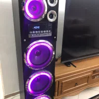 اسپیکر پر قدرت میکرولب