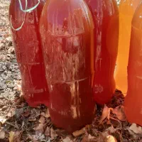 سرکه سیب|خوردنی و آشامیدنی|محلات, |دیوار