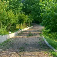 ۶۰۰۰متر خونه باغ دل طبیعت زیبای کلسفروش|فروش خانه و ویلا|توتکابن, |دیوار