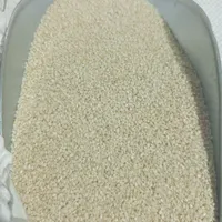کنجد قنادی سفید ، روغن گیری ، روغنگیری و ارده گیری|عمده‌فروشی|قم, شاه ابراهیم|دیوار