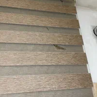 پرده زبرا|پرده، رانر، رومیزی|رباطکریم, رباطکریم|دیوار