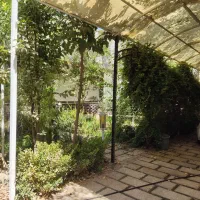 باغچه داخل بافت با سندتکبرگ (باغ باغچه فقط چارباغ)|فروش دفتر صنعتی، کشاورزی، تجاری|شاهدشهر, |دیوار