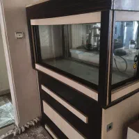 اکواریوم