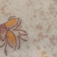 موکت کرم