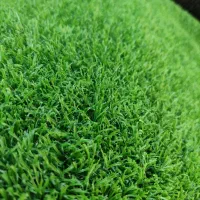 پخش انواع چمن ،فنس برگی رشته ای گرینوال سنگ