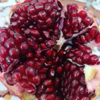 انار|خوردنی و آشامیدنی|کوهنانی, |دیوار