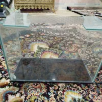 آکواریوم شرکتی