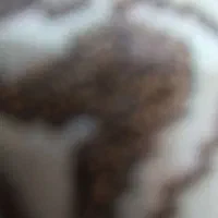 کارتون یخچال و فریزر اسنوا