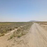 زمین گلخانه ای اماده احداث در شهرستان جعفریه|فروش دفتر صنعتی، کشاورزی، تجاری|قم, دانش|دیوار