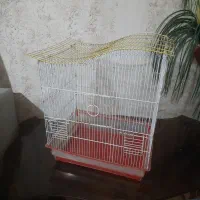 قفس پرنده
