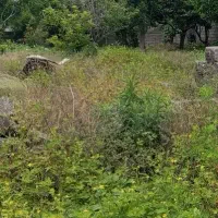 فروش زمین مسکونی