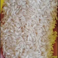 برنج محلی دورود