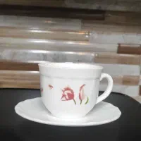 فنجون آرکوپال