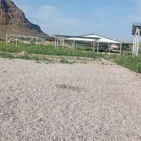 زمین قبرستان زاهد شیر