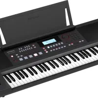 Roland E-X50|پیانو، کیبورد، آکاردئون|رشت, چمارسرا|دیوار