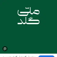 ۲سوت طلا برای شما میده