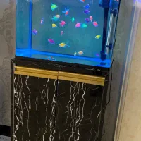 اکواریوم سایزبزرگ سوبو باتمام لوازم جانبی درحدنو