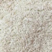 برنج علی کاظمی