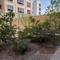 رهن واحد  ۲۴۰ متری  حتی به خانواده ی پرجمعیت