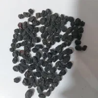 مویز ترکمن 4 بدون هسته و کشمش عسگر|خوردنی و آشامیدنی|مشهد, فرهنگیان (شهرک غرب)|دیوار