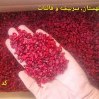 فروش زرشک دانه اناری، زیرتالاری و پفکی|عمدهفروشی|بیرجند, |دیوار