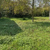 گیلان ویلانقلی m500سراوان سیاهکل سنگرقاضیان کچا|فروش خانه و ویلا|سنگر, |دیوار