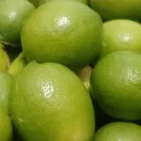 لیمو درجه یک