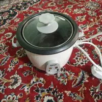 پلوپز کوچک سالم