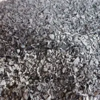 کربن گردو