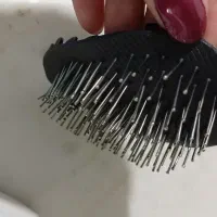 کاردرمنزل برس رنگش مشگی نیس