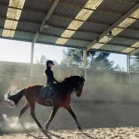 مربی سوار کاری /خانم