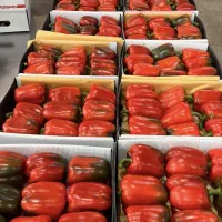 سرمایه گذاری با سود بالا