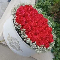 گل ربانی کادویی|گل مصنوعی|اصفهان, باتون|دیوار