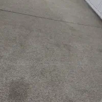 شوش|موکت|کرخه, |دیوار