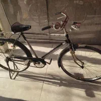 دوچرخه28استثنایی