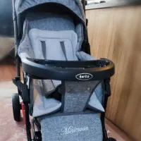 کالسکه دلیجان مدل بنیتا|کالسکه و لوازم جانبی|پرند, فاز ۵|دیوار