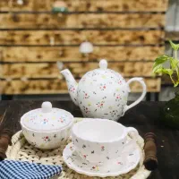 ظروف سرامیکی
