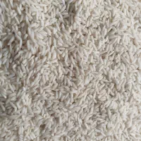برنج علی کاظمی
