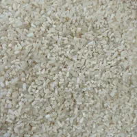 نیم دانه هاشمی دودی