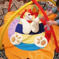 خرس پاندا قطبی بازی