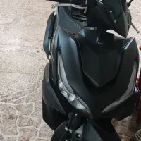 بلنتا شال طلا