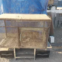 قفس آهنی بسیار محکم|لوازم جانبی حیوانات|اقبالیه, |دیوار