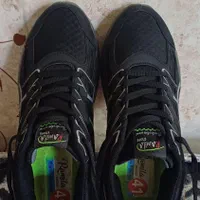 کفش اسپرت سایز 41|کیف، کفش، کمربند|زابل, |دیوار