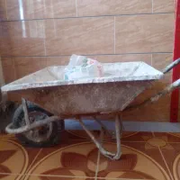فرقون